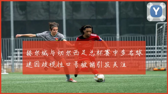 赫尔城与切尔西足总杯赛中多名球迷因歧视性口号被捕引发关注